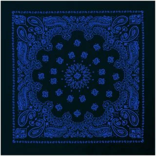 Rothco Trainmen Paisley Bandana - 22" X 22" 1
